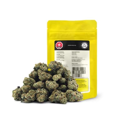 Hawaiian Melon - Hawaiian Melon 28G